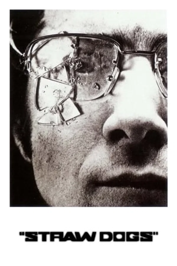 Poster phim Chó Rơm (1971) trên Motchill