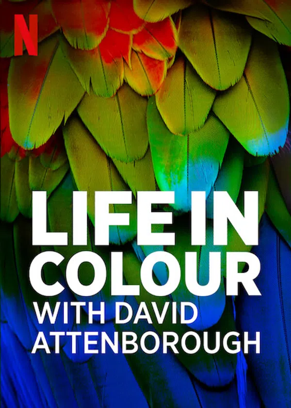 Poster phim David Attenborough: Sự sống đầy màu sắc trên Motchill