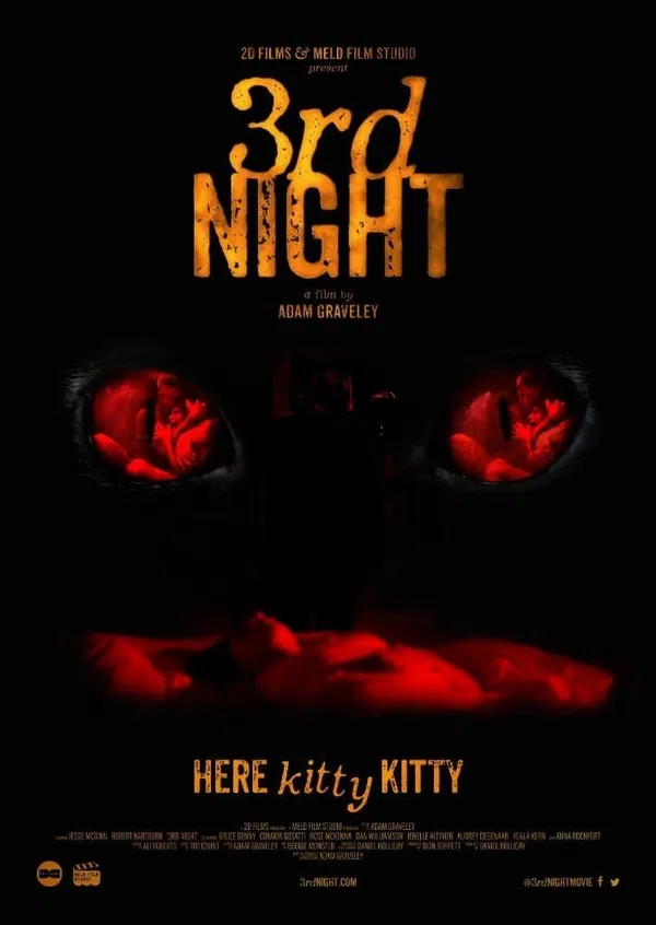 Poster phim Đêm Thứ 3 Kinh Hoàng trên Motchill