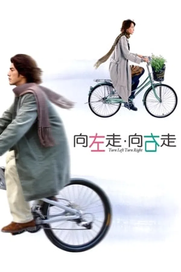 Poster phim Nàng Rẽ Trái, Chàng Rẽ Phải trên Motchill
