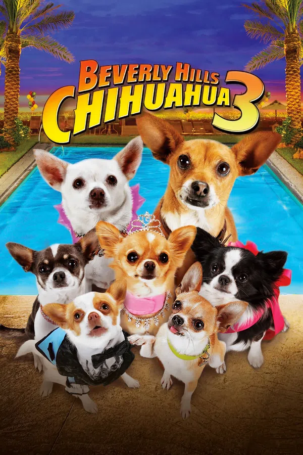 Poster phim Những Chú Chó Chihuahua 3 trên Motchill