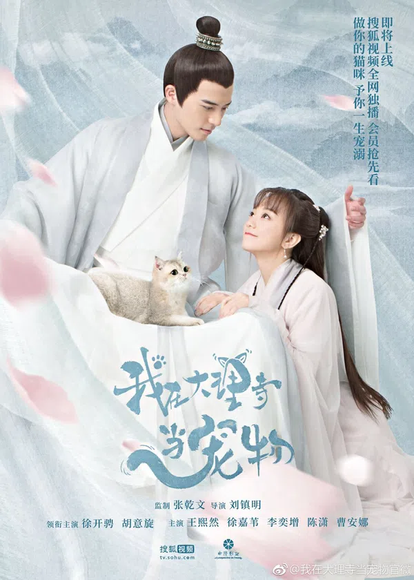Poster phim Ta Ở Đại Lý Tự Làm Thú Cưng trên Motchill