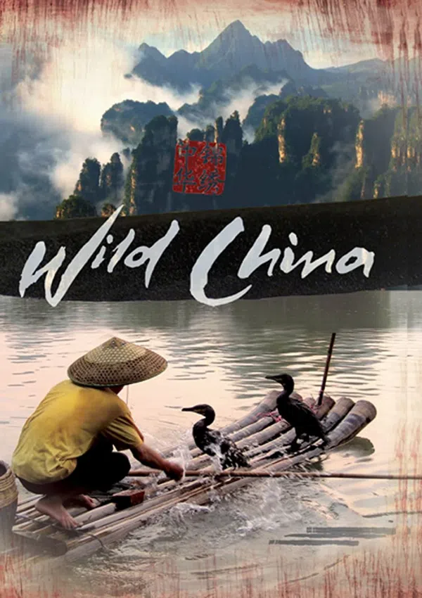 Poster phim Thiên Nhiên Hoang Dã Trung Quốc trên Motchill