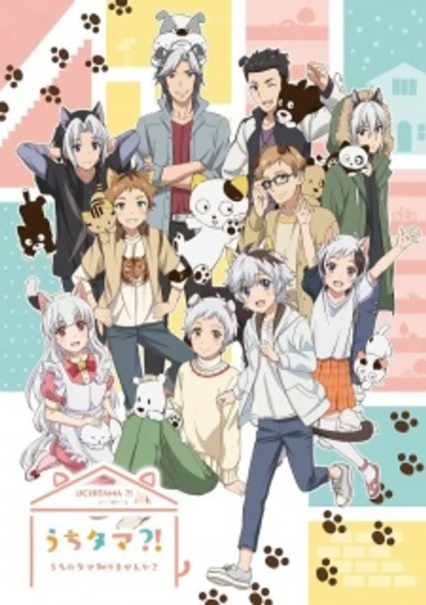 Poster phim Uchi Tama?! Uchi no Tama Shirimasen ka? trên Motchill