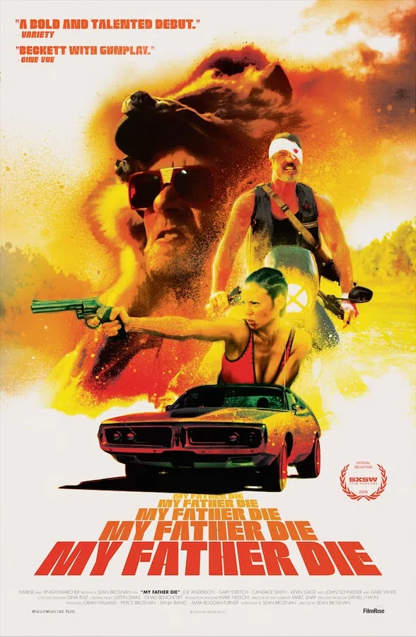 Poster phim Vòng Xoáy Hận Thù trên Motchill